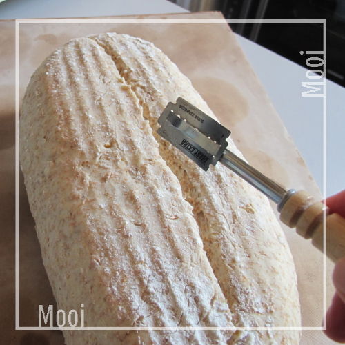 metpitjes 004